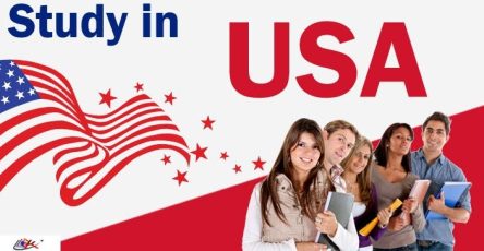 In Demand Courses in the USA