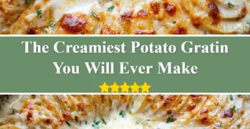 Potato Gratin