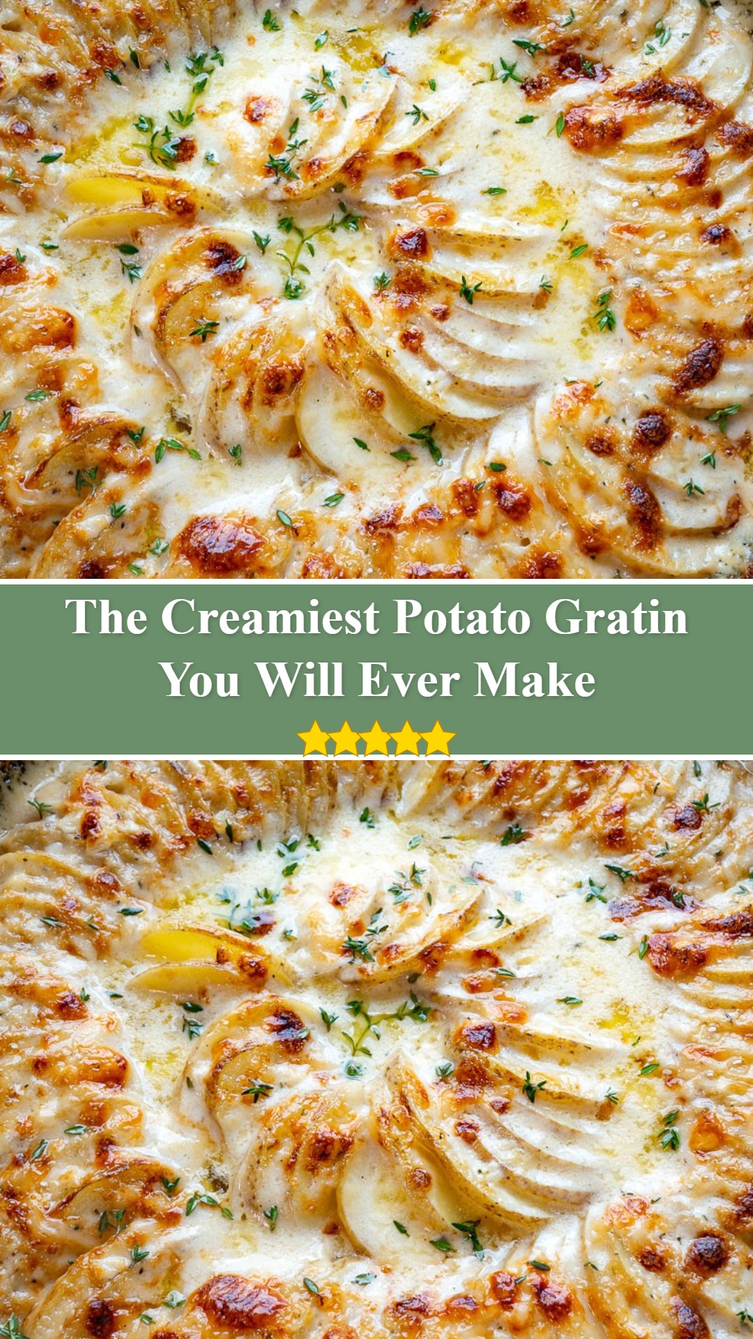 Potato Gratin